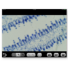 ProScope 5MP Microscope Camera - Image 4