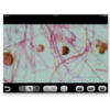 ProScope 5MP Microscope Camera - Image 5