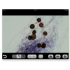 ProScope 5MP Microscope Camera - Image 6